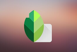 Snapseed 4.1.0: supporto RAW ampliato nell’app di Google