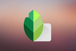 Snapseed 4.1.0: supporto RAW ampliato nell’app di Google