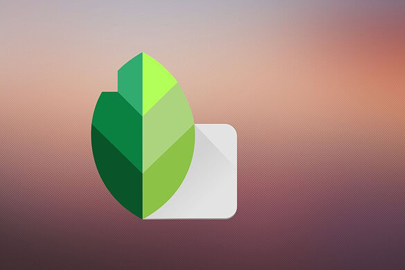 Snapseed 4.1.0: supporto RAW ampliato nell’app di Google