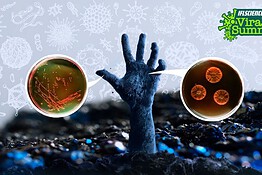 Virus zombie, patogeni congelati nel permafrost: cosa succede davvero