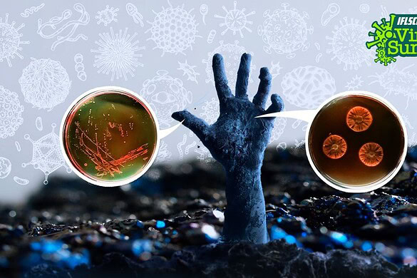 Virus zombie, patogeni congelati nel permafrost: cosa succede davvero
