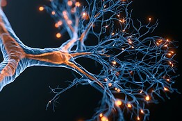 Crisi epilettica filmata nel cervello per la prima volta