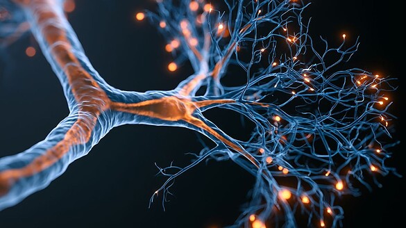 Crisi epilettica filmata nel cervello per la prima volta