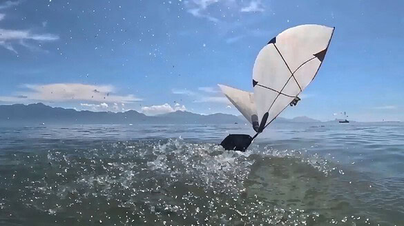 MIT, il drone anfibio che vola e si tuffa come un uccello marino