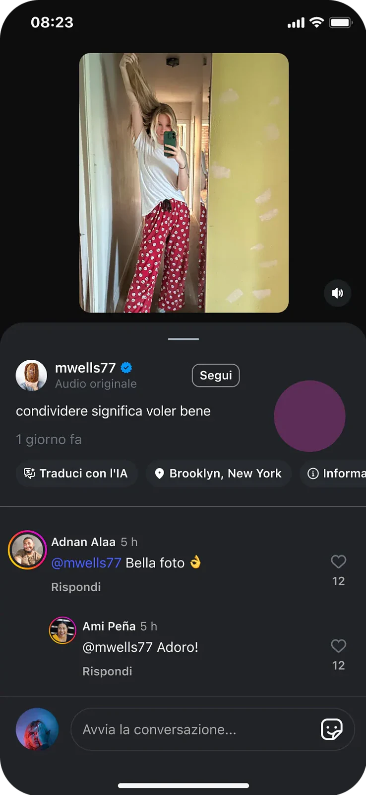 traduzioni vocali Instagram - dettaglio