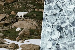 Congelare l’Artico: il piano dei ricercatori per creare ghiaccio