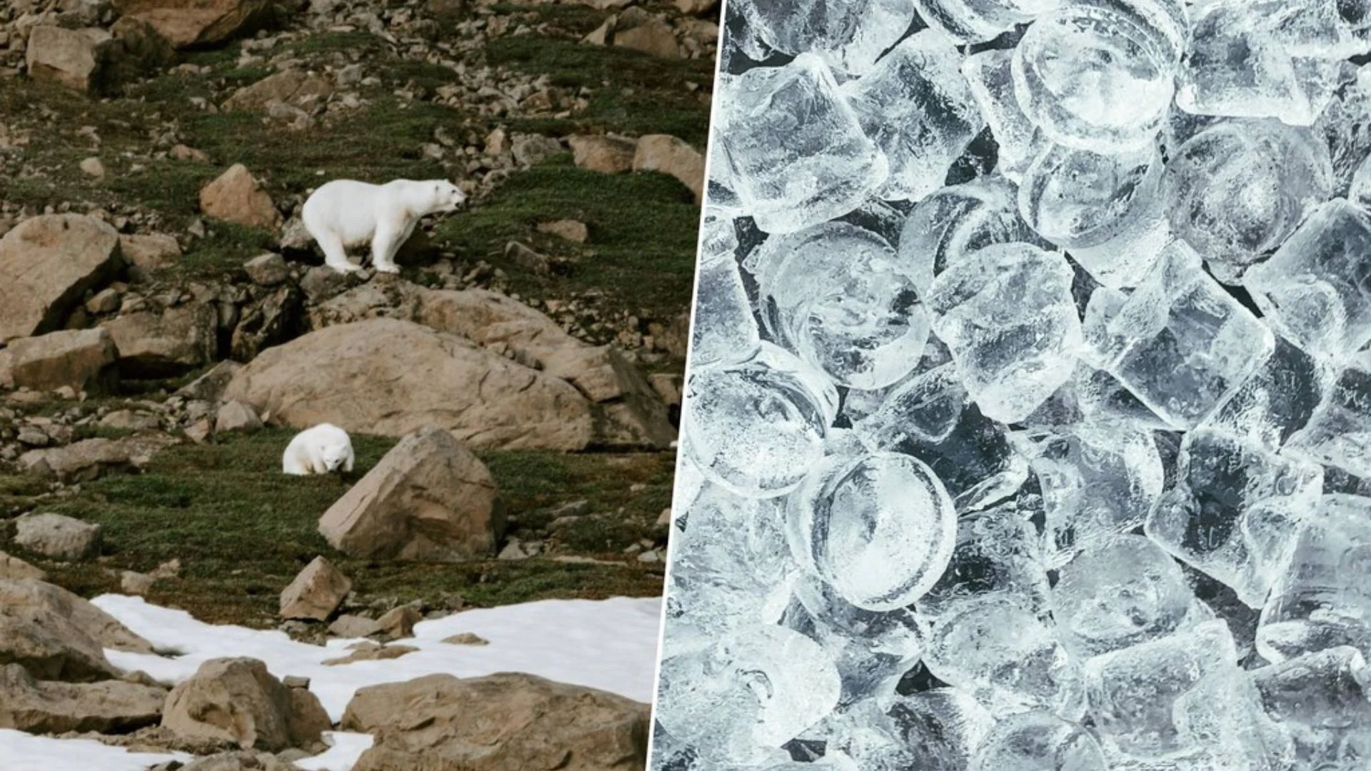 Congelare l'Artico