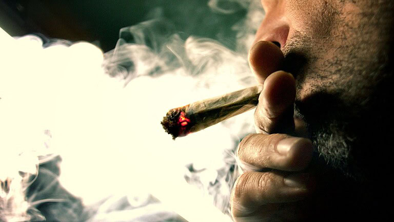 Cannabis