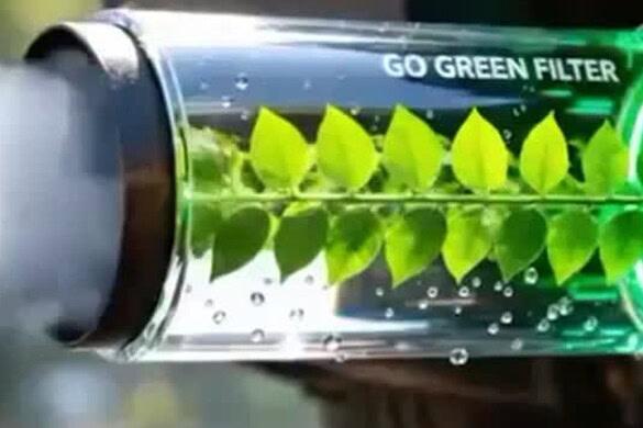 Go Green Filter: due studenti trasformano le emissioni in ossigeno