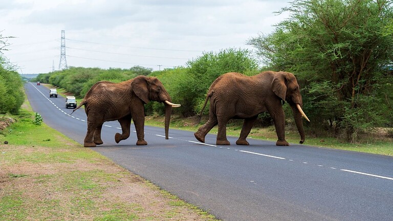 Africa