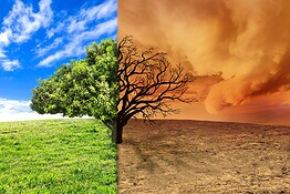 Cambiamento climatico in Messico: oltre un milione di sfollati