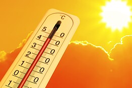 Il caldo rallenta il cervello: cosa dice davvero la scienza