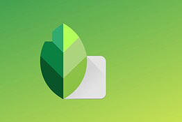 Snapseed si aggiorna: nuove griglie e allineamento, iOS ha funzioni extra