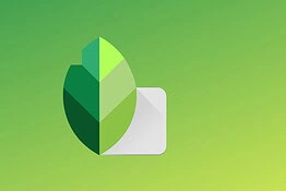 Snapseed si aggiorna: nuove griglie e allineamento, iOS ha funzioni extra
