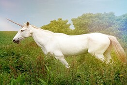 Unicorno, perché la biologia lo boccia: il mito è impossibile in natura