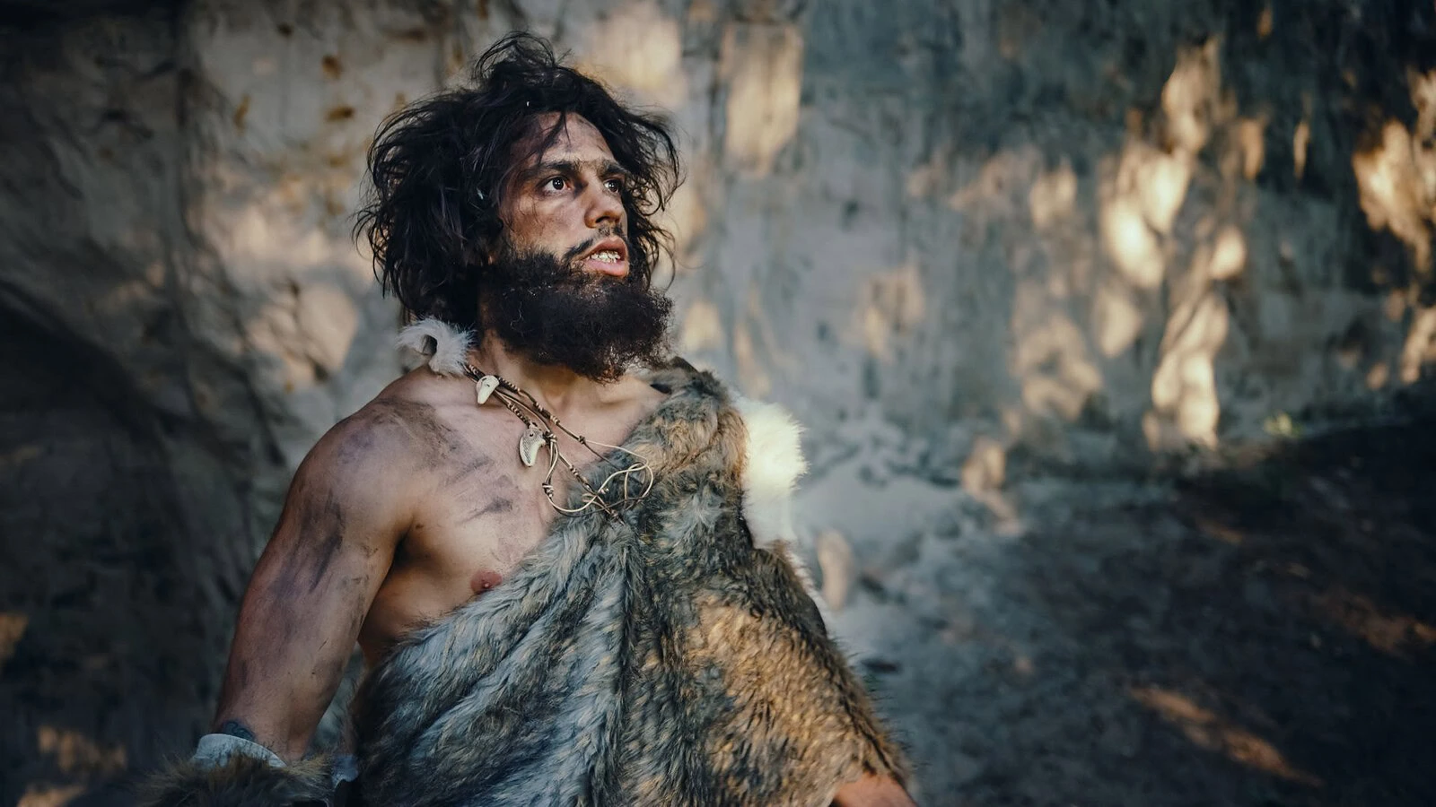 Homo erectus, la vera specie di successo dell’evoluzione umana