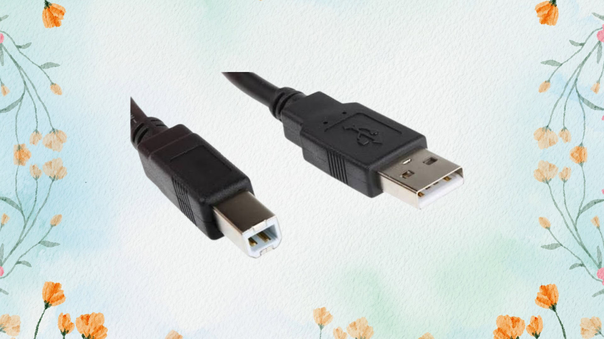 USB-B, il connettore dimenticato che nessuno riconosce ma ancora resiste