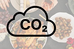 CO2 trasformata in cibo: la svolta arriva dal sole