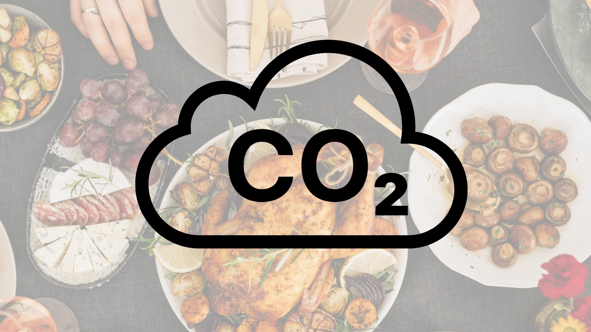 CO2 trasformata in cibo: la svolta arriva dal sole CO2 trasformata in cibo: la svolta arriva dal sole