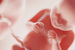 Coscienza fetale, la scienza si avvicina a scoprire quando nasce