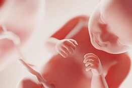 Coscienza fetale, la scienza si avvicina a scoprire quando nasce