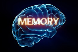 Nelson Dellis: la memoria è un muscolo che la tecnologia indebolisce