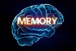 Nelson Dellis: la memoria è un muscolo che la tecnologia indebolisce