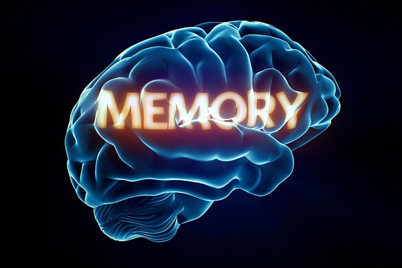 Nelson Dellis: la memoria è un muscolo che la tecnologia indebolisce
