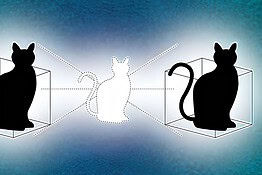 Meccanica quantistica: dal gatto di Schrödinger alle tecnologie di oggi