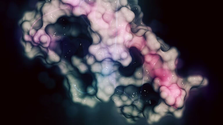 proteine