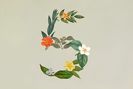 Claude Sonnet 5: l’IA di Anthropic potente come Opus ma costa molto meno