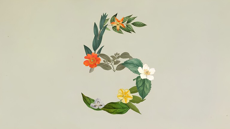 Claude Sonnet 5