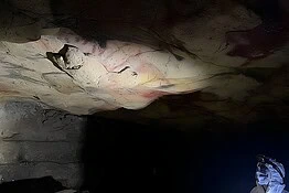 DNA umano antico ritrovato per la prima volta nell’arte rupestre