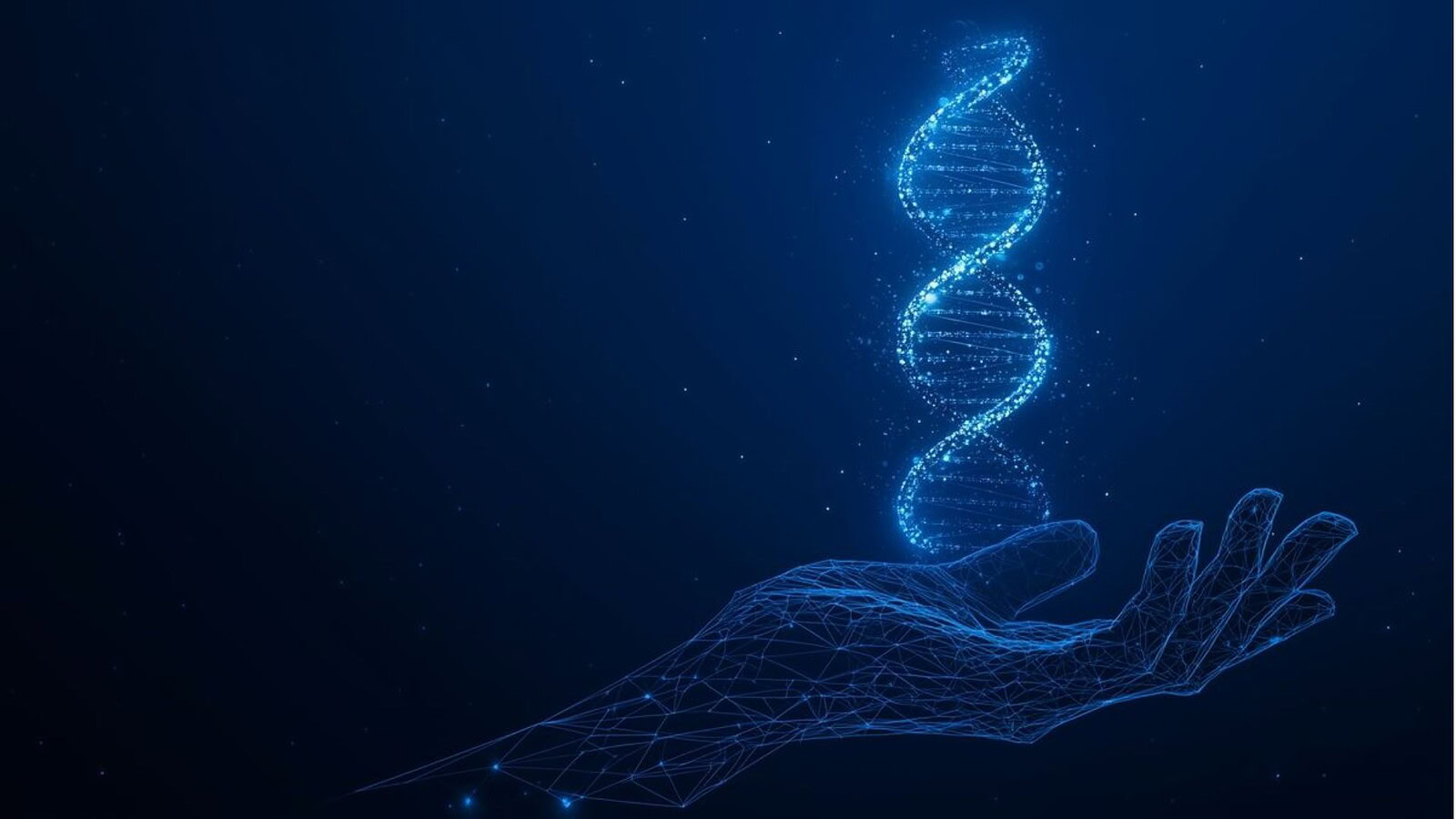 Intelligenza artificiale ingannata