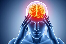 Il cervello decide prima del previsto: nuova via per l’IA efficiente