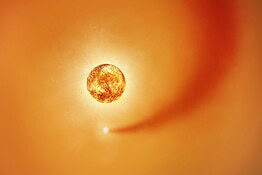Betelgeuse, confermato il compagno stellare Betel-Buddy