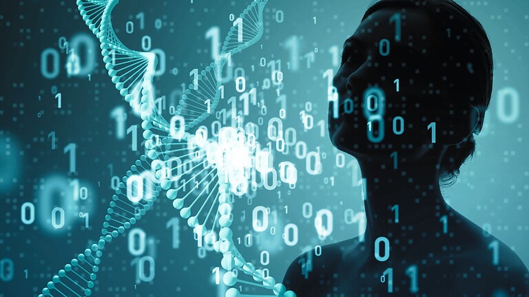 biocomputer cellule umane