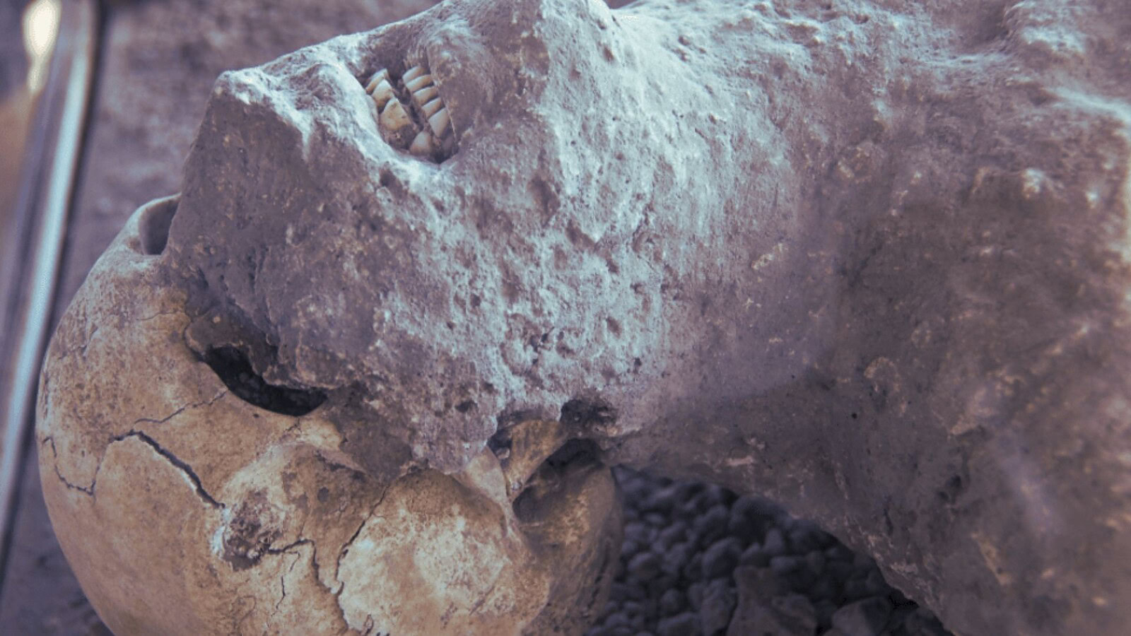 calchi di Pompei
