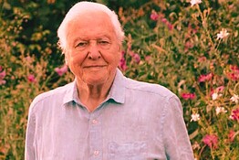 David Attenborough, record agli Emmy a cento anni con due nomination