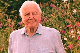 David Attenborough, record agli Emmy a cento anni con due nomination