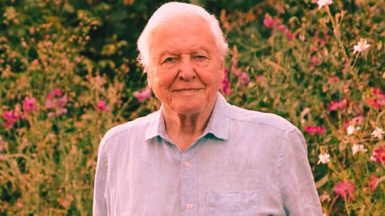 David Attenborough Emmy