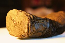 Papiri di Ercolano, letto per intero un rotolo dopo 2000 anni