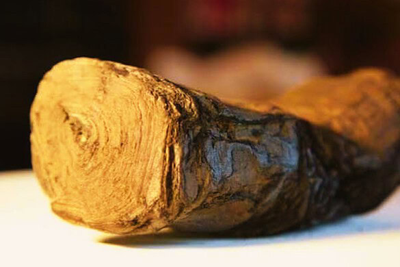 Papiri di Ercolano, letto per intero un rotolo dopo 2000 anni