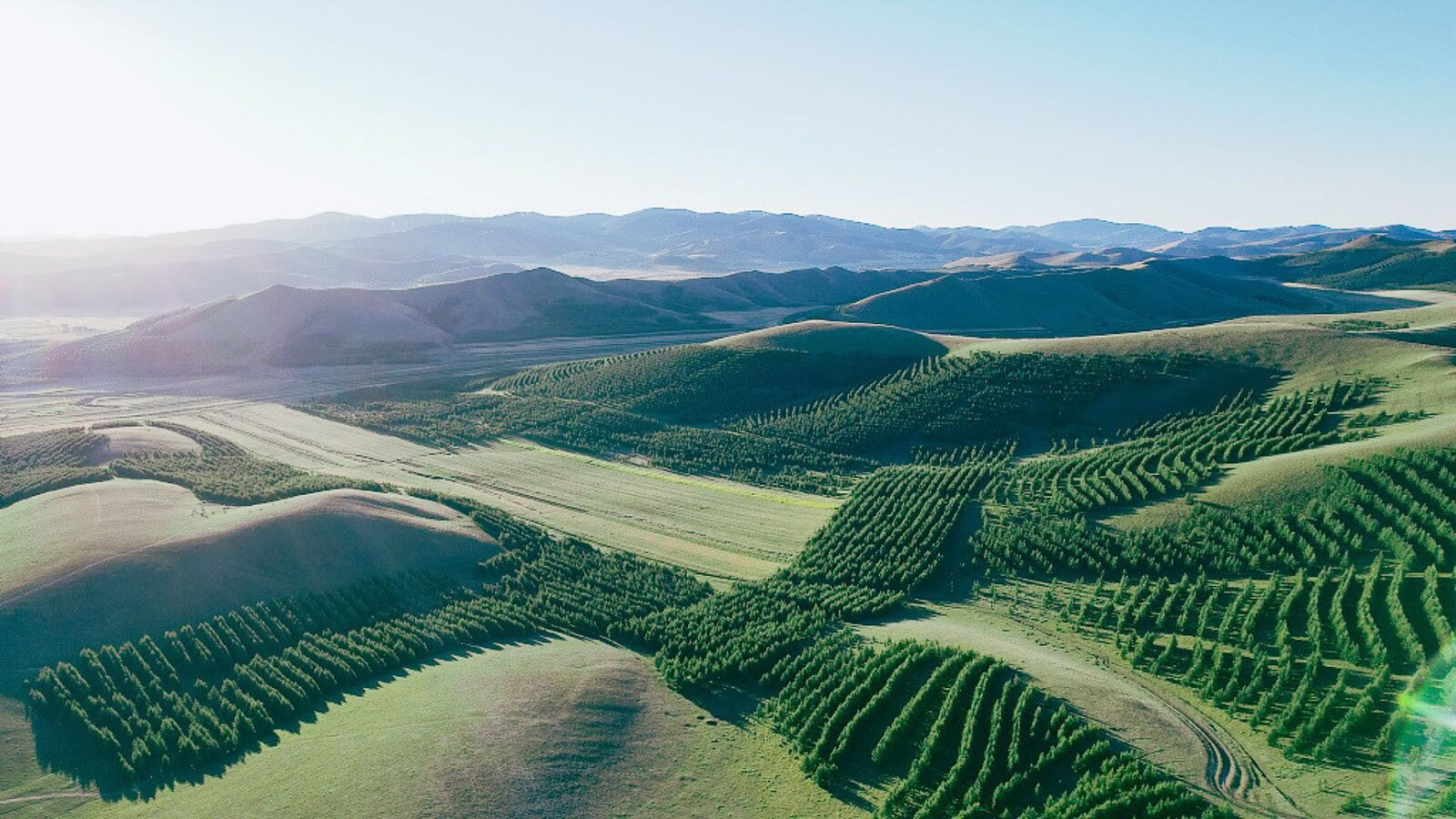 Grande Muraglia Verde cinese
