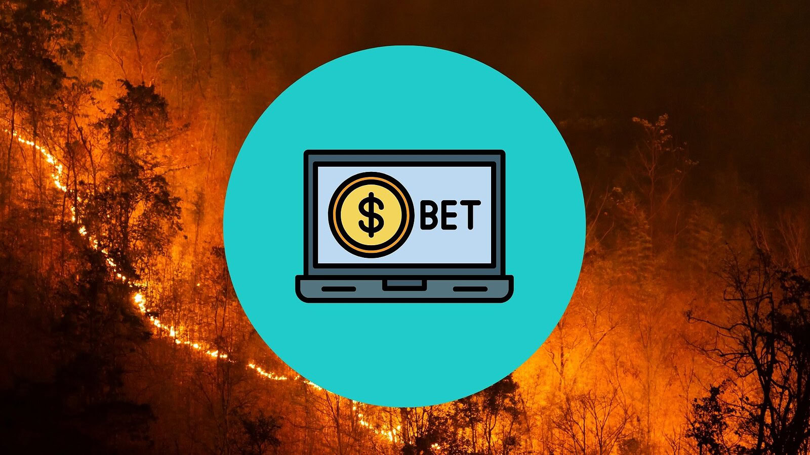 Wyldfyre, la piattaforma che fa scommettere sugli incendi fa discutere