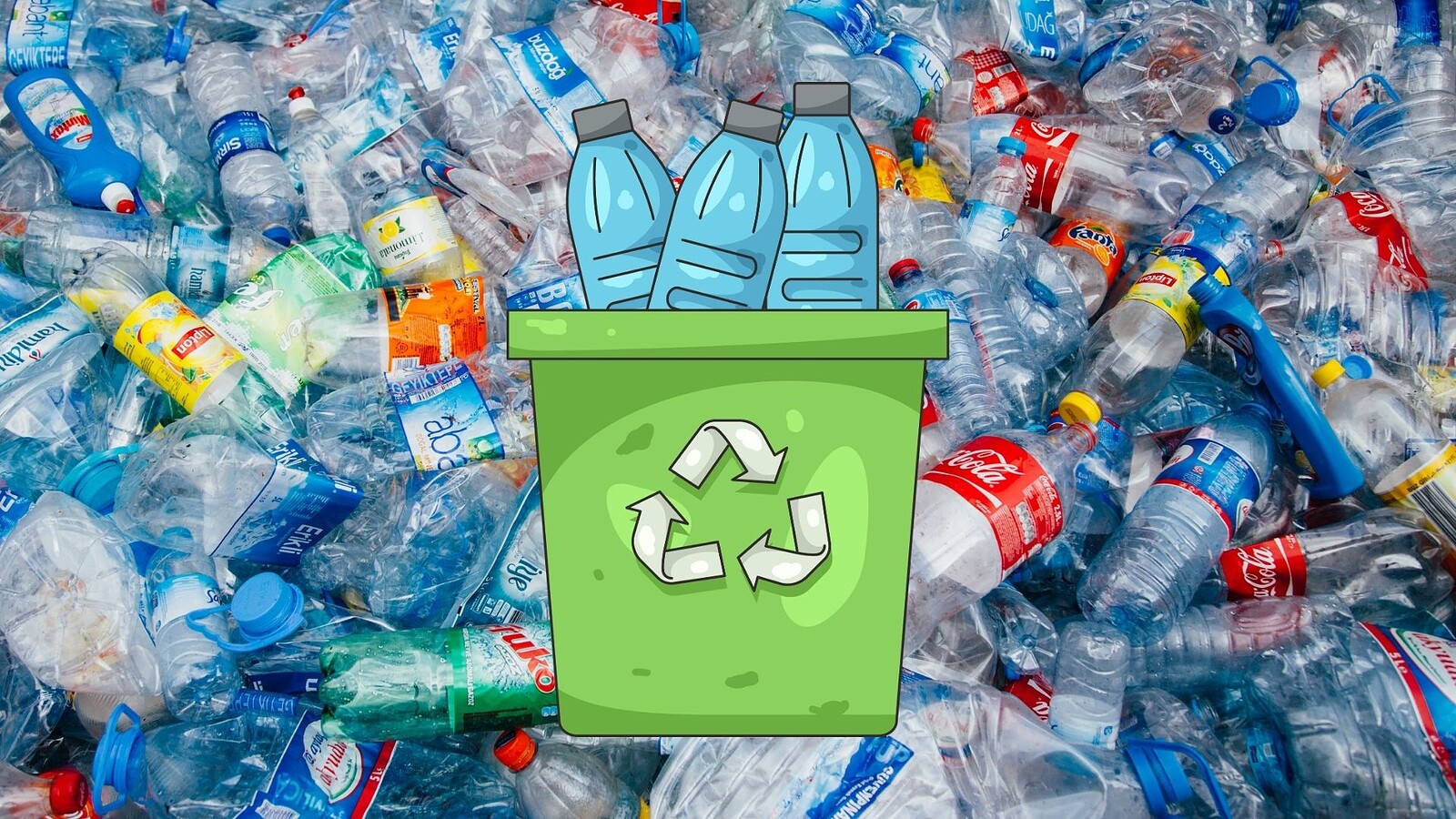 Plastica riciclata, dall'UE le nuove regole PET che cambiano tutto