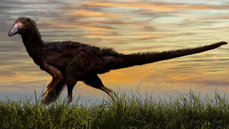 Nuova specie di dinosauro svela come è nato il volo degli uccelli
