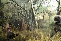 Criptidi diventati realtà: gli animali leggendari confermati dalla scienza