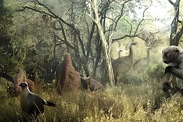 Criptidi diventati realtà: gli animali leggendari confermati dalla scienza