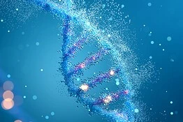 SLA, farmaco sperimentale XL20 protegge i neuroni: nuova speranza